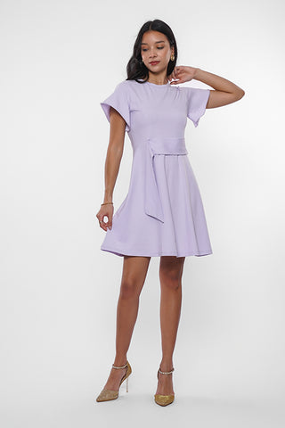 Ruffle Sleeves Mini Dress